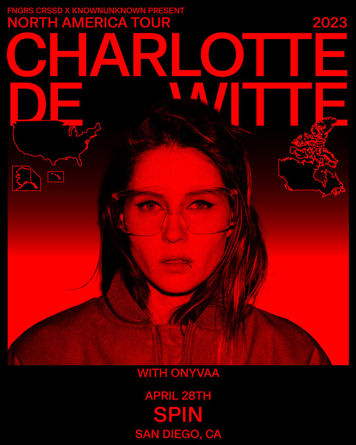 CHARLOTTE DE WITTE